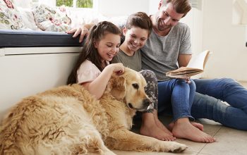 Why It’s Important To Help Your Pets Live Healthily